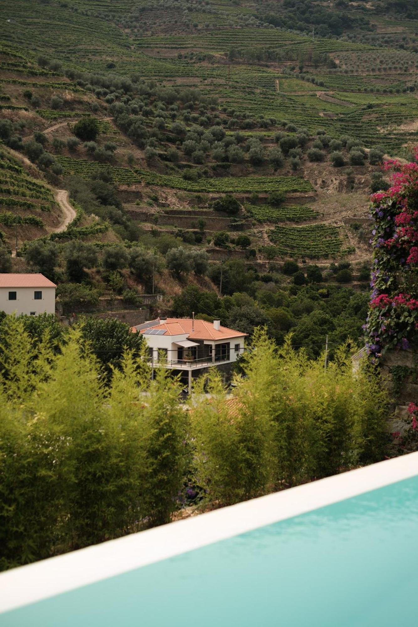 מלון Covelinhas Quinta Da Travessa - Douro מראה חיצוני תמונה